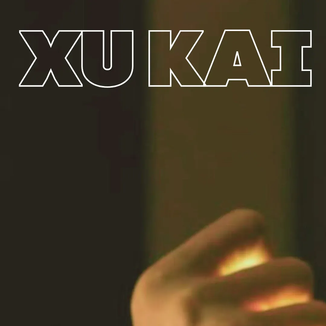 A moment captured by a fan of Xu Kai