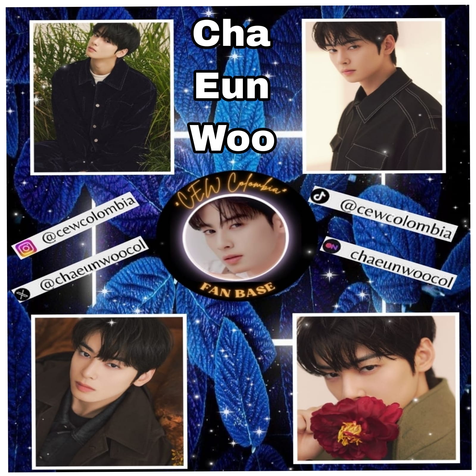 粉丝拍下的车银优瞬间