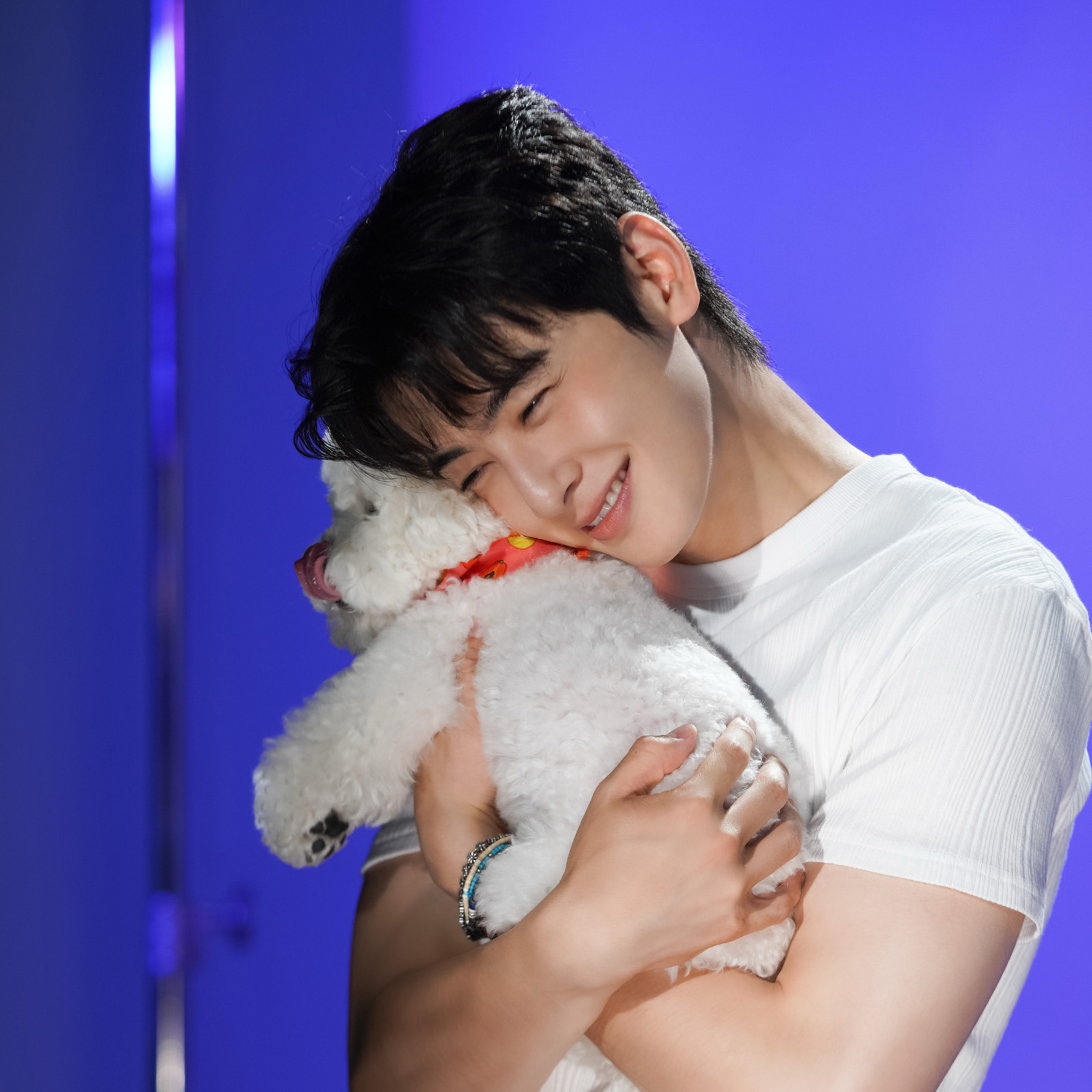 車銀優的近期活動照