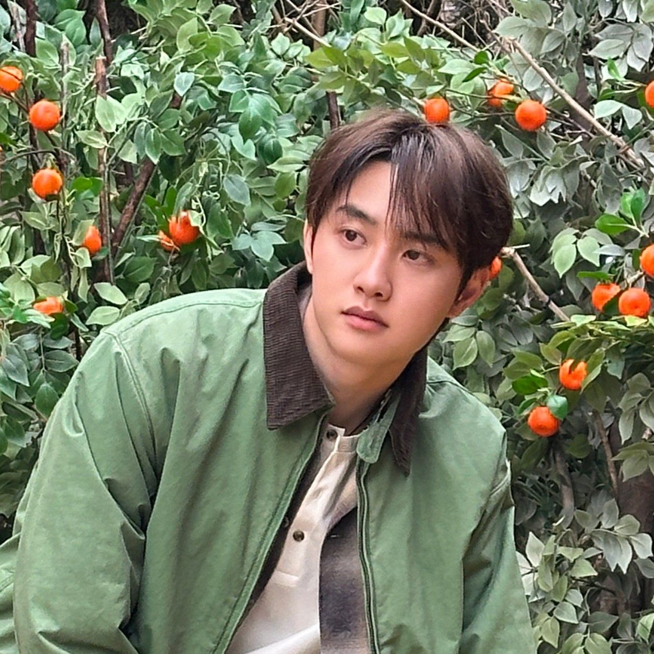 都暻秀 (D.O.)的幕後花絮