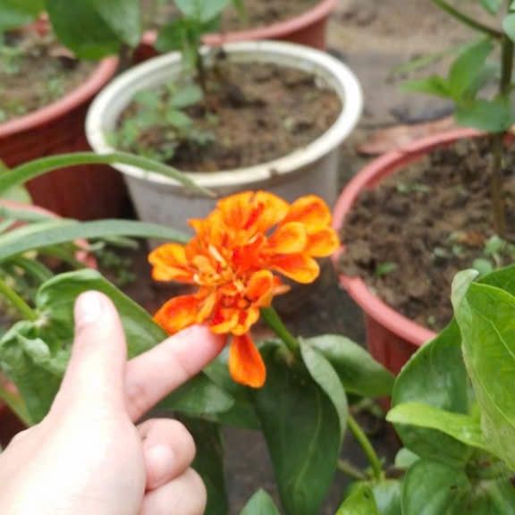 구마유시 최근 활동샷