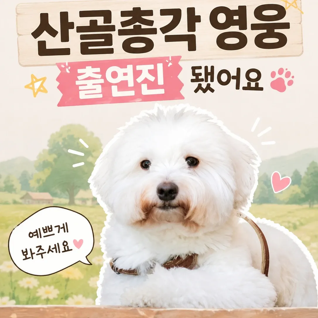 Cuplikan di balik layar dari Lim Youngwoong