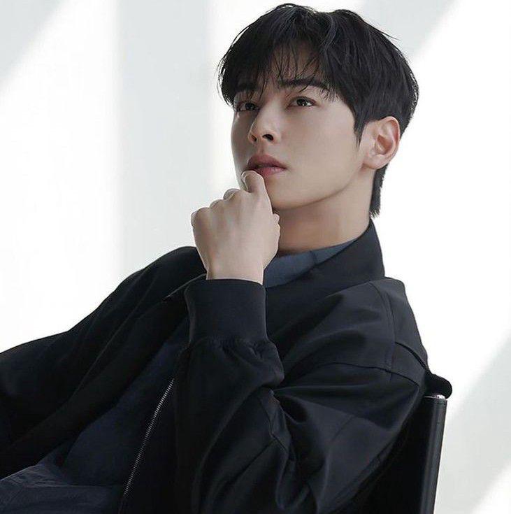 A moment captured by a fan of Cha Eunwoo