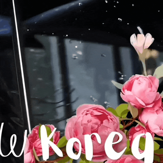 金高銀的最新照片