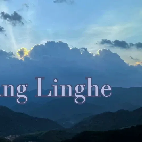 A moment captured by a fan of Zhang Linghe