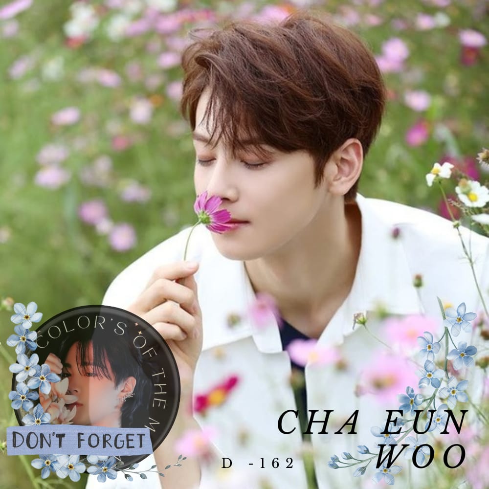 A moment captured by a fan of Cha Eunwoo