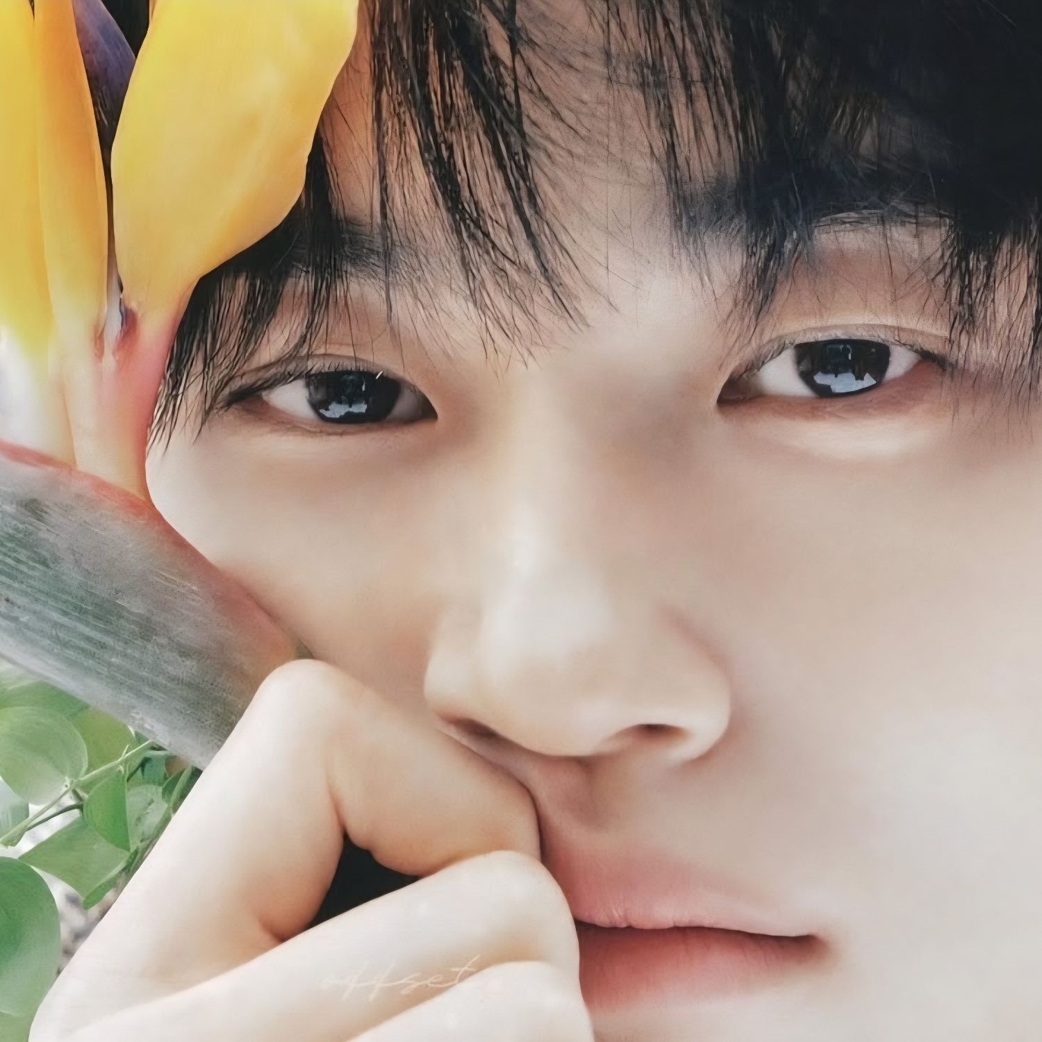 변우석의 비하인드 컷