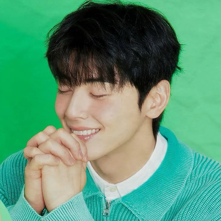 Behind-the-scenes cut of Cha Eunwoo