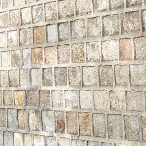 A moment captured by a fan of Bona