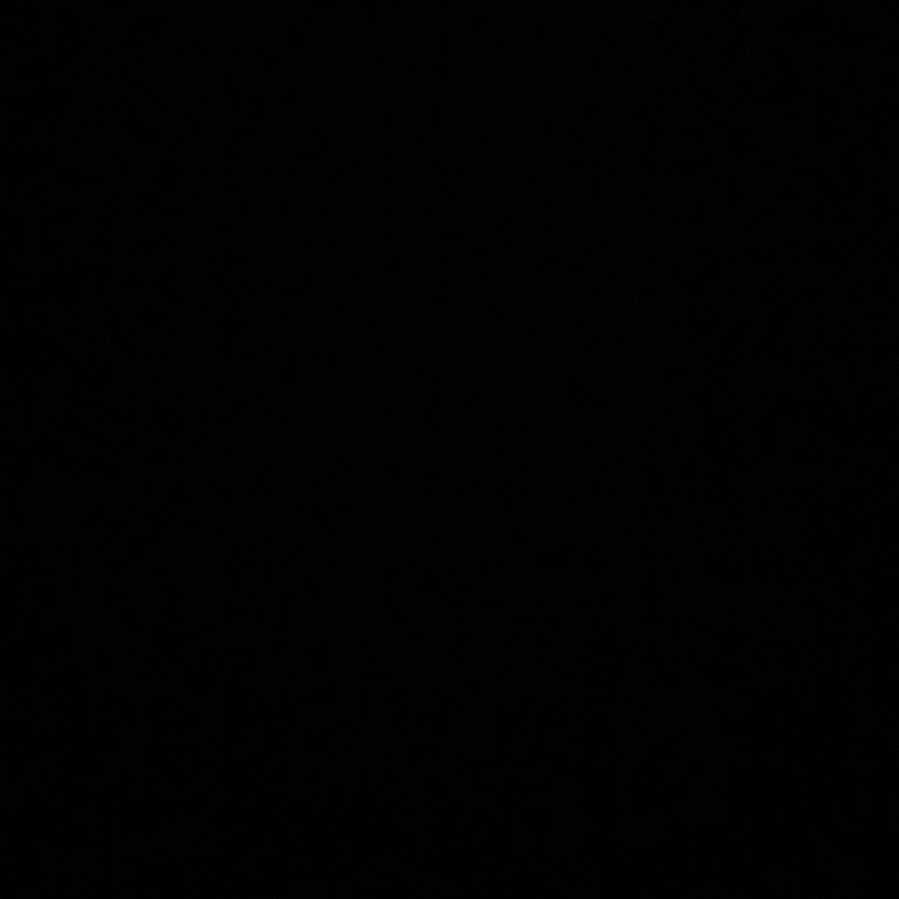 A moment captured by a fan of Gumayusi