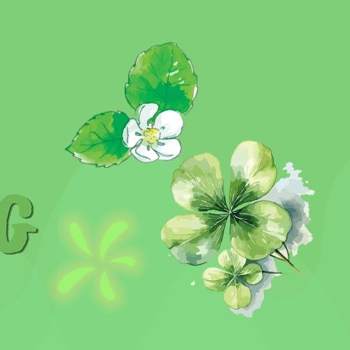 朴寶英的最新照片