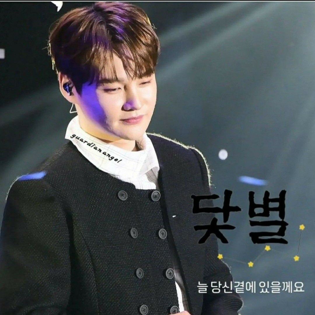 박서진 팬이 찍은 순간