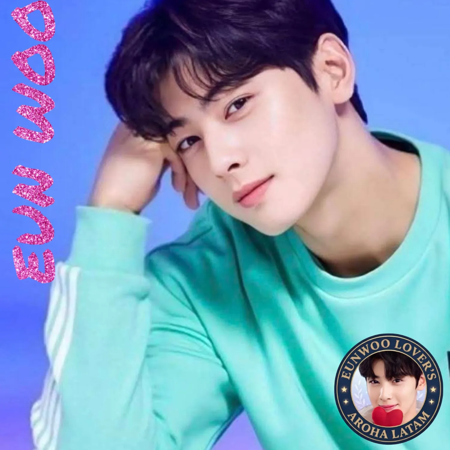 Recent activity shot of Cha Eunwoo