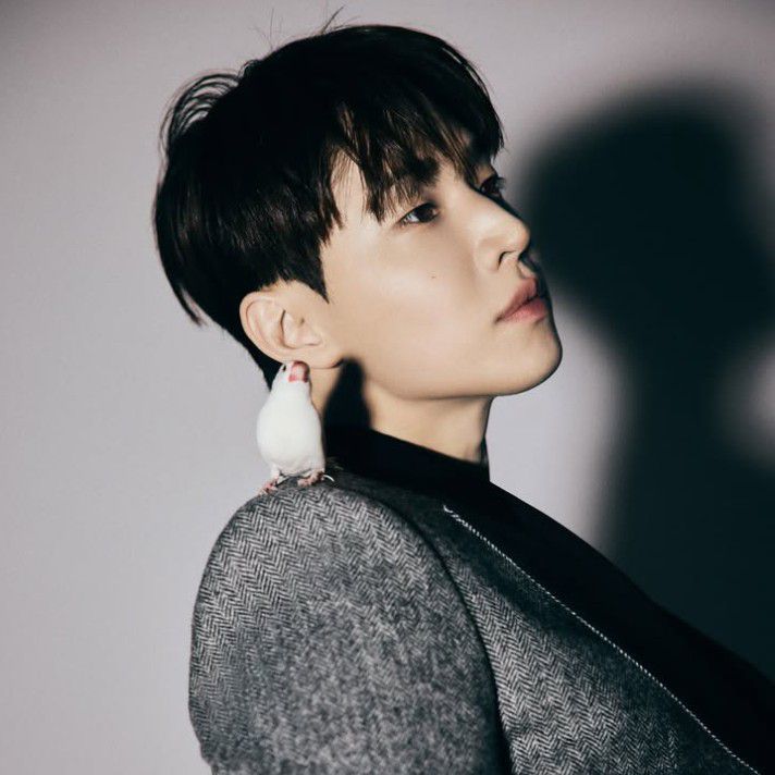 Recent activity shot of Henry