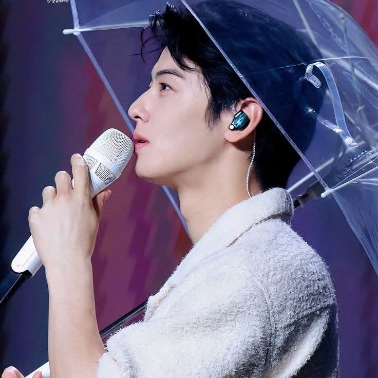 A moment captured by a fan of Cha Eunwoo