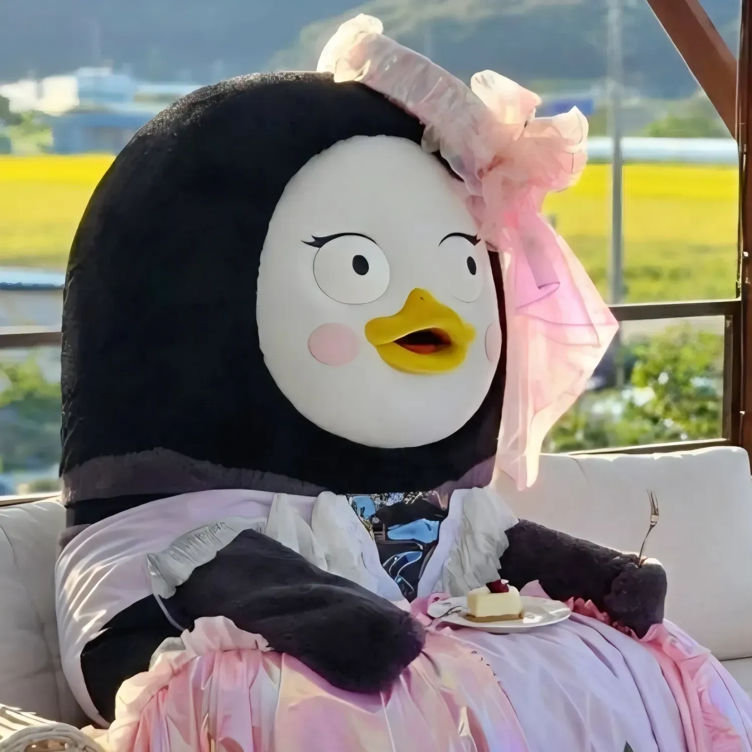 펭수 최근 활동샷