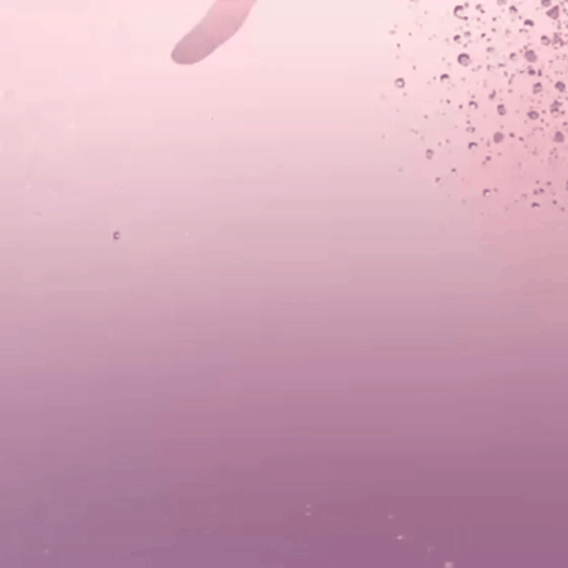 丁海寅的最新照片