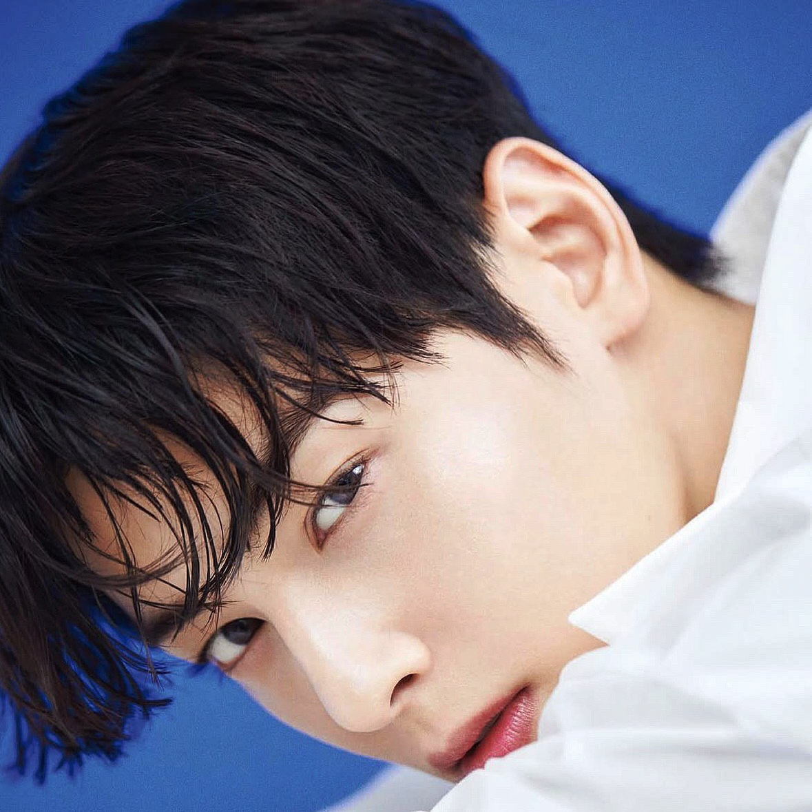 车银优的最新照片