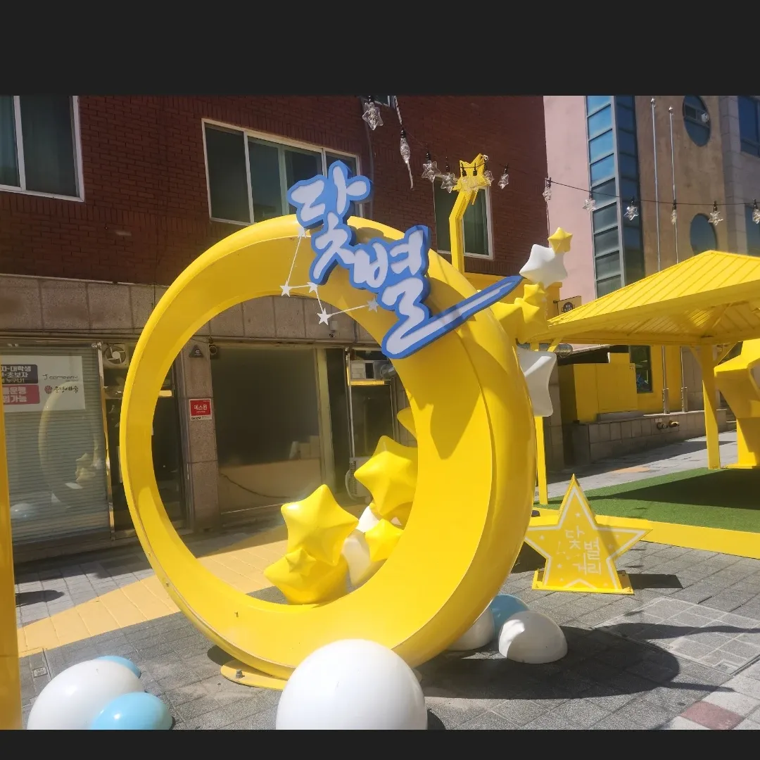 박서진의 최신 사진