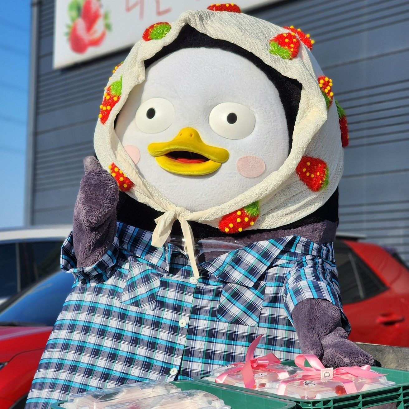 Cuplikan di balik layar dari Pengsoo