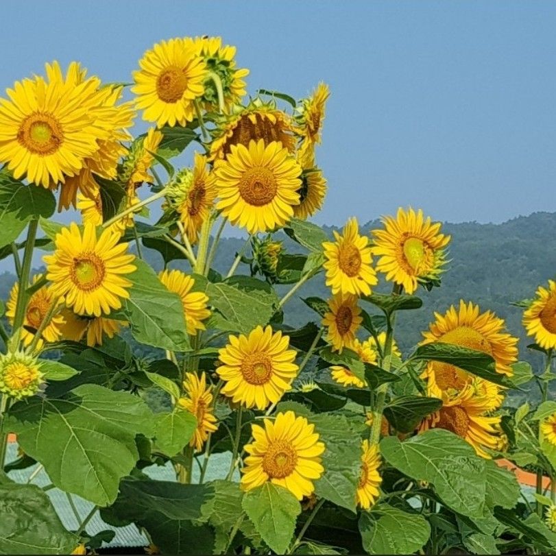 粉丝拍下的金浩中瞬间