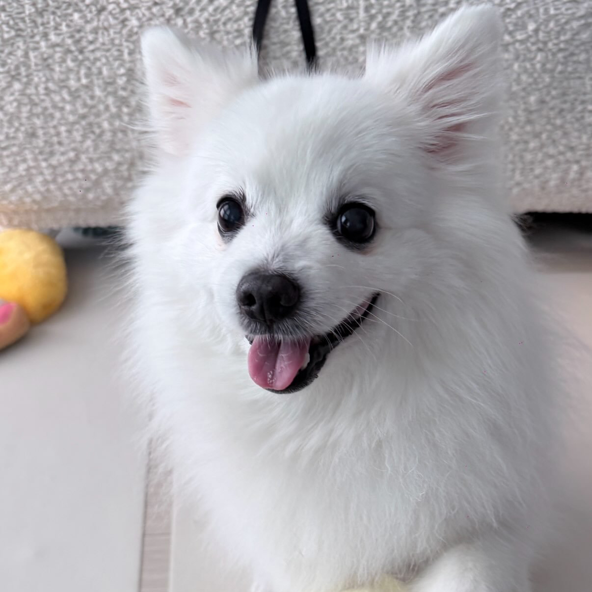 Latest photo of BADA