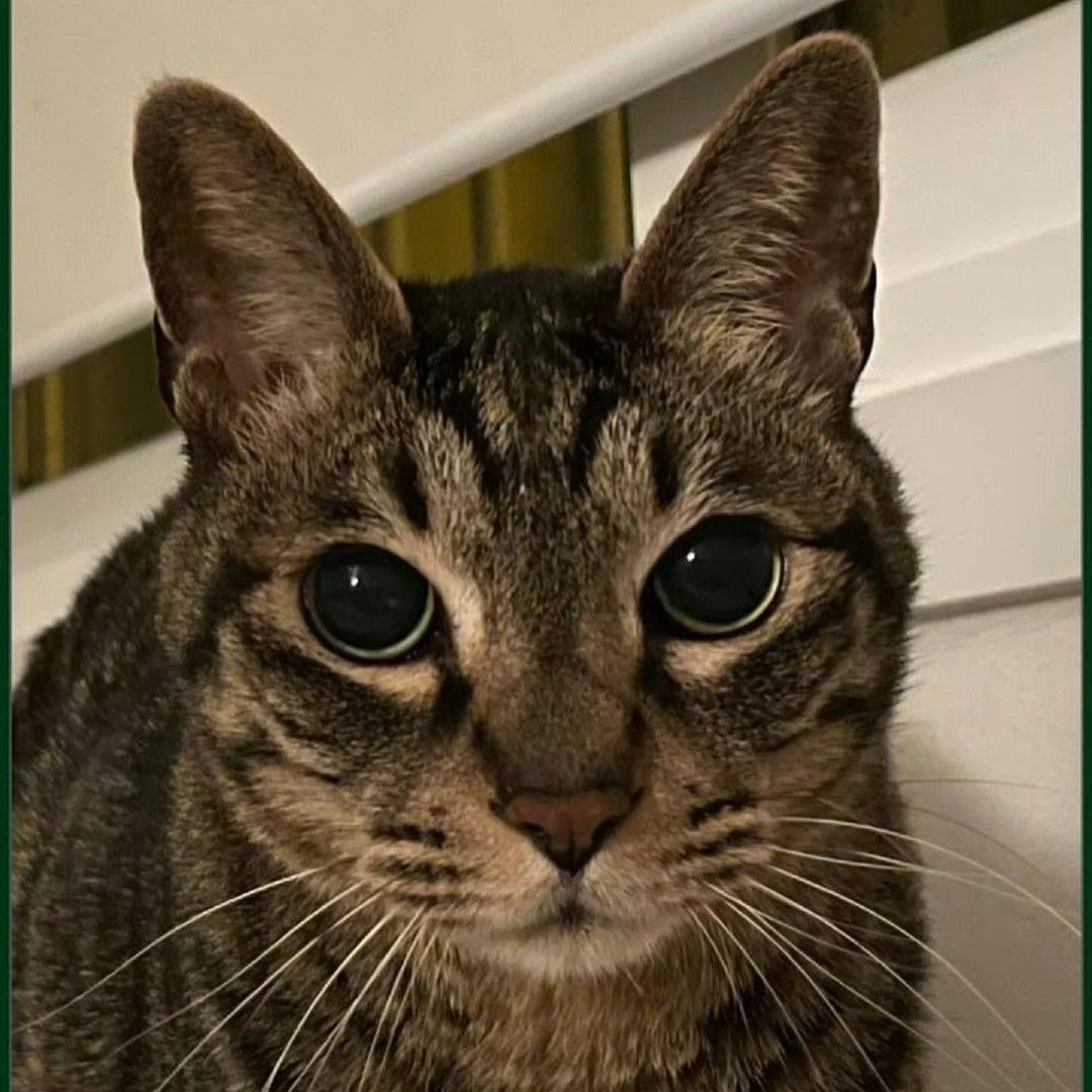 Behind-the-scenes cut of Rowoon