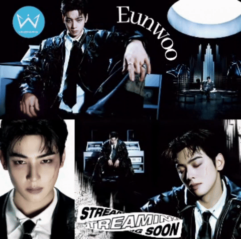 Recent activity shot of Cha Eunwoo