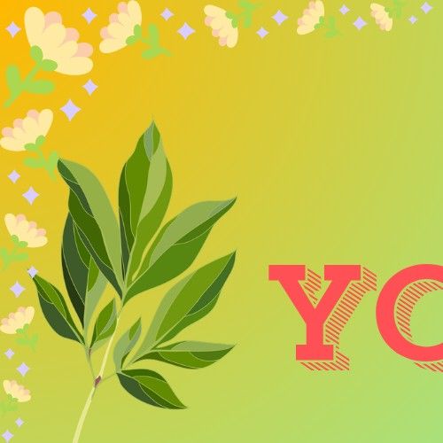 Behind-the-scenes cut of Park Boyoung