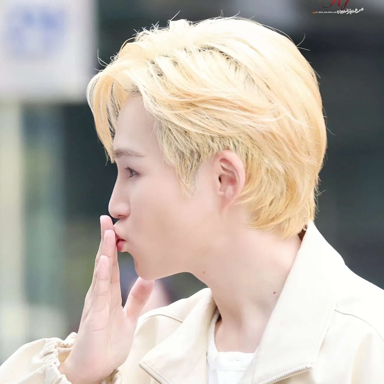 金熙栽的幕后花絮