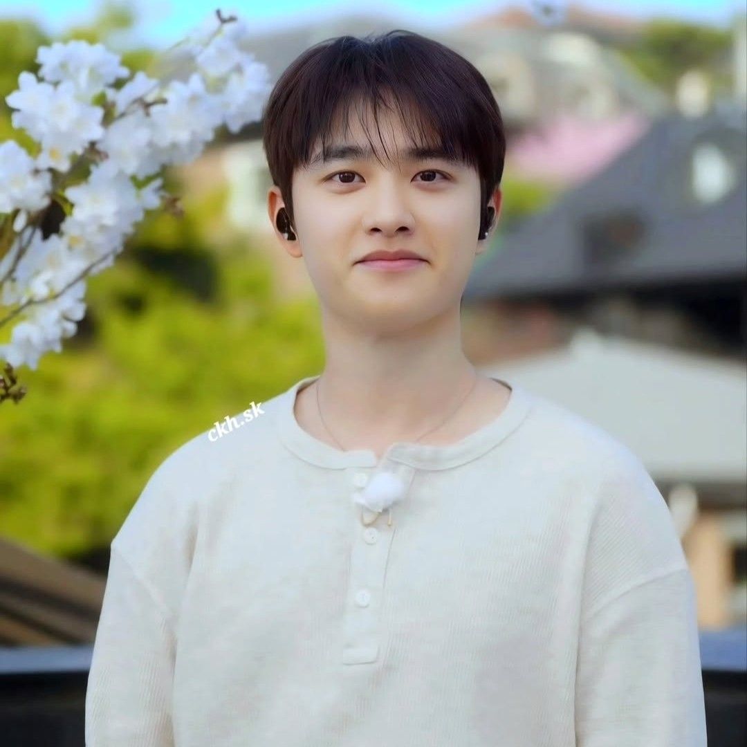 도경수 (디오) 팬이 찍은 순간