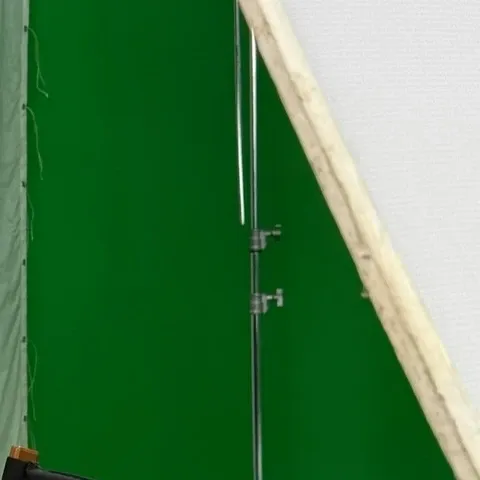 Recent activity shot of Bona