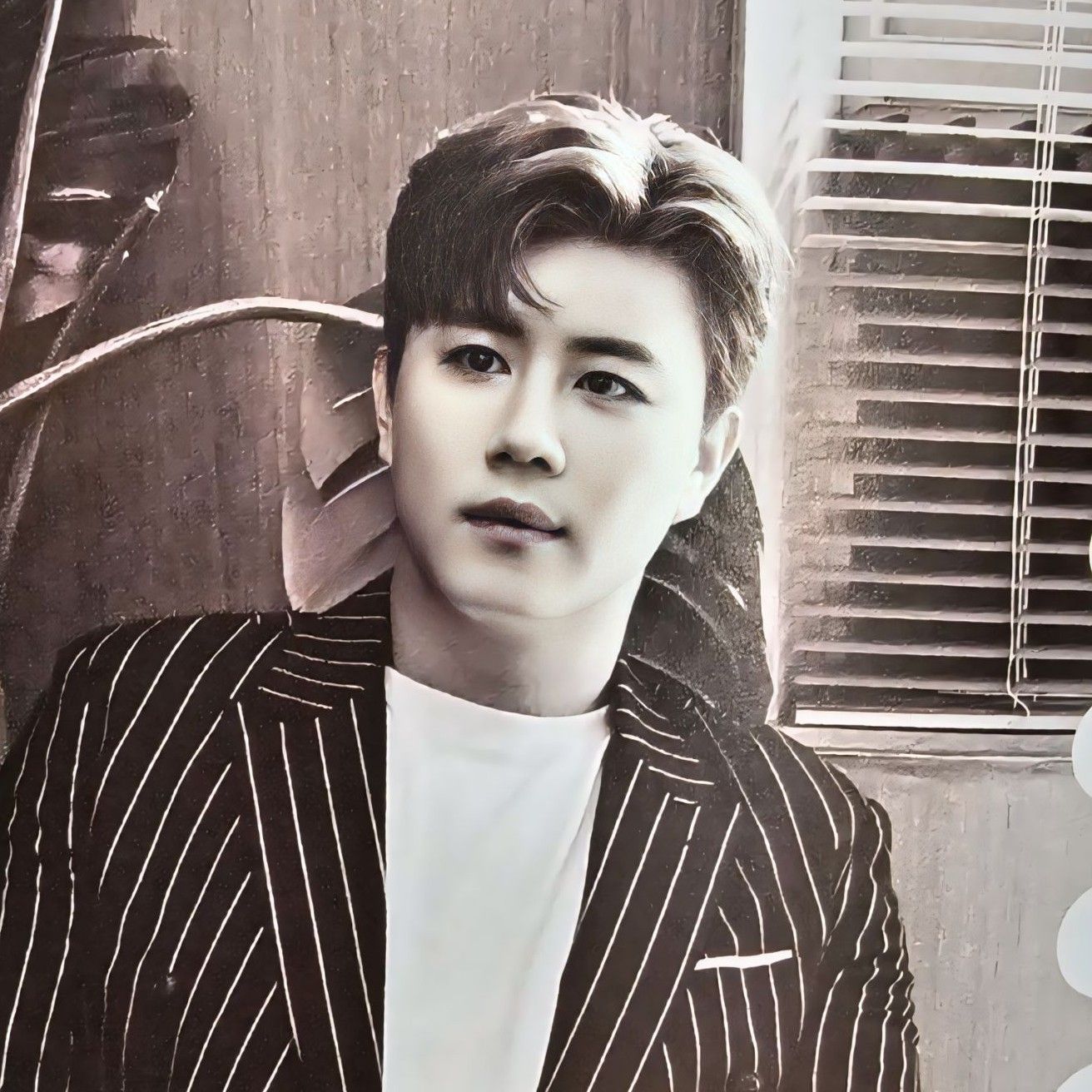 晋海成的幕后花絮