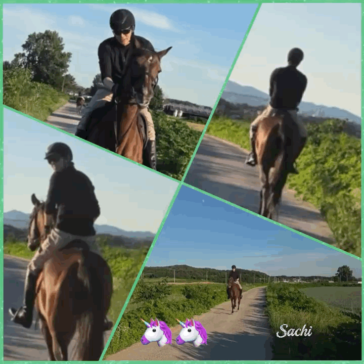 Latest photo of Lee Minho