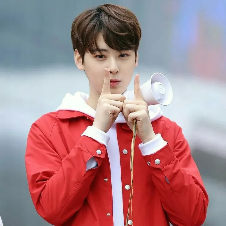 A moment captured by a fan of Cha Eunwoo