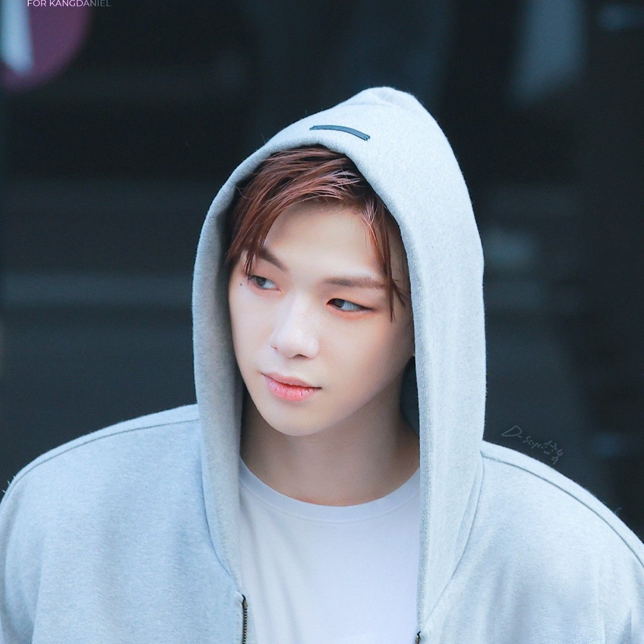 Recent activity shot of Secret Garden