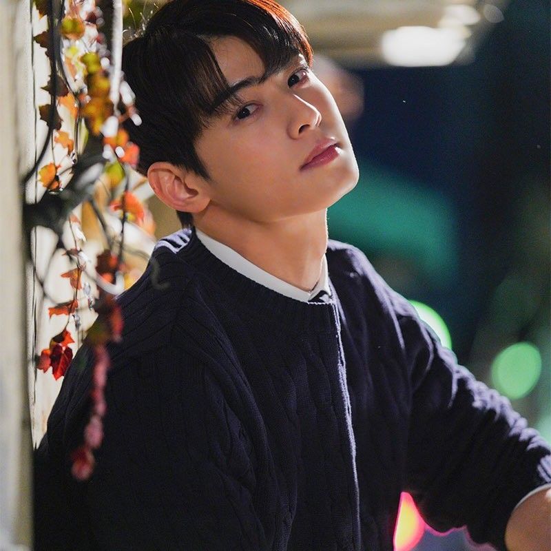 粉丝拍下的车银优瞬间