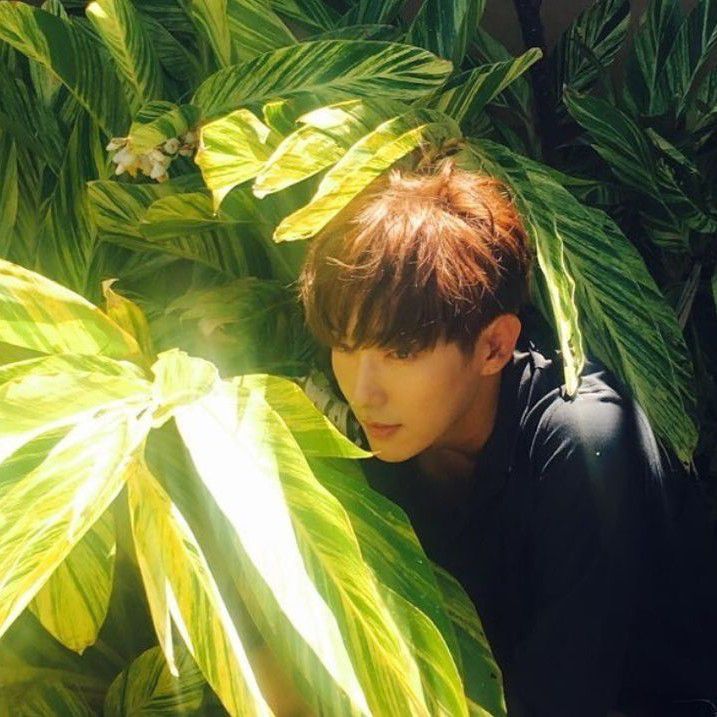 Momen yang diabadikan oleh penggemar Lee Joongi