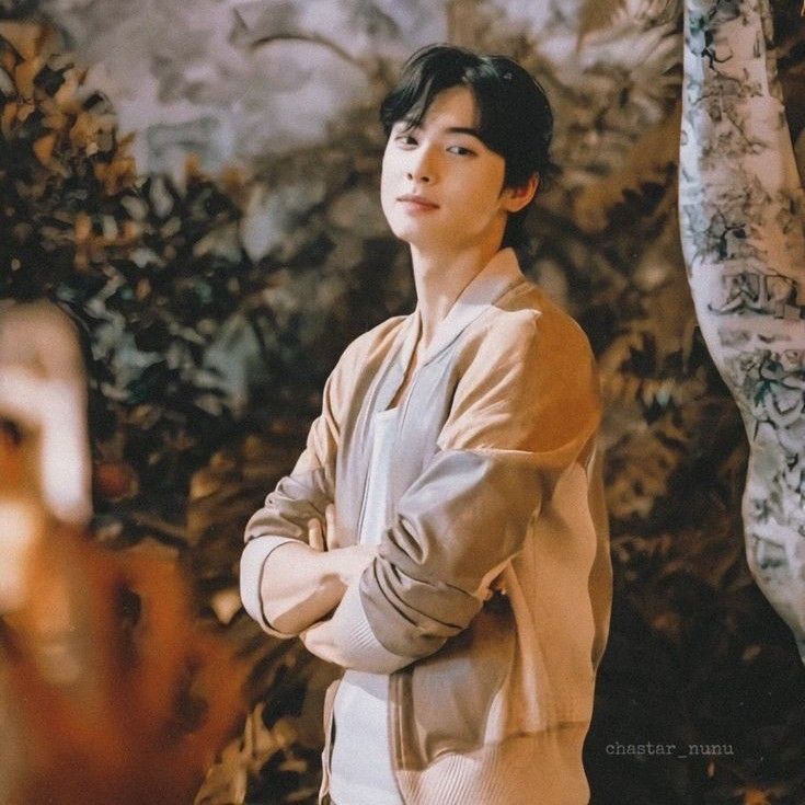 A moment captured by a fan of Cha Eunwoo