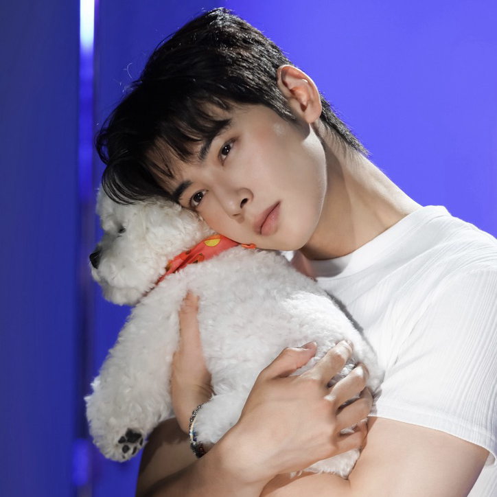 Latest photo of Cha Eunwoo