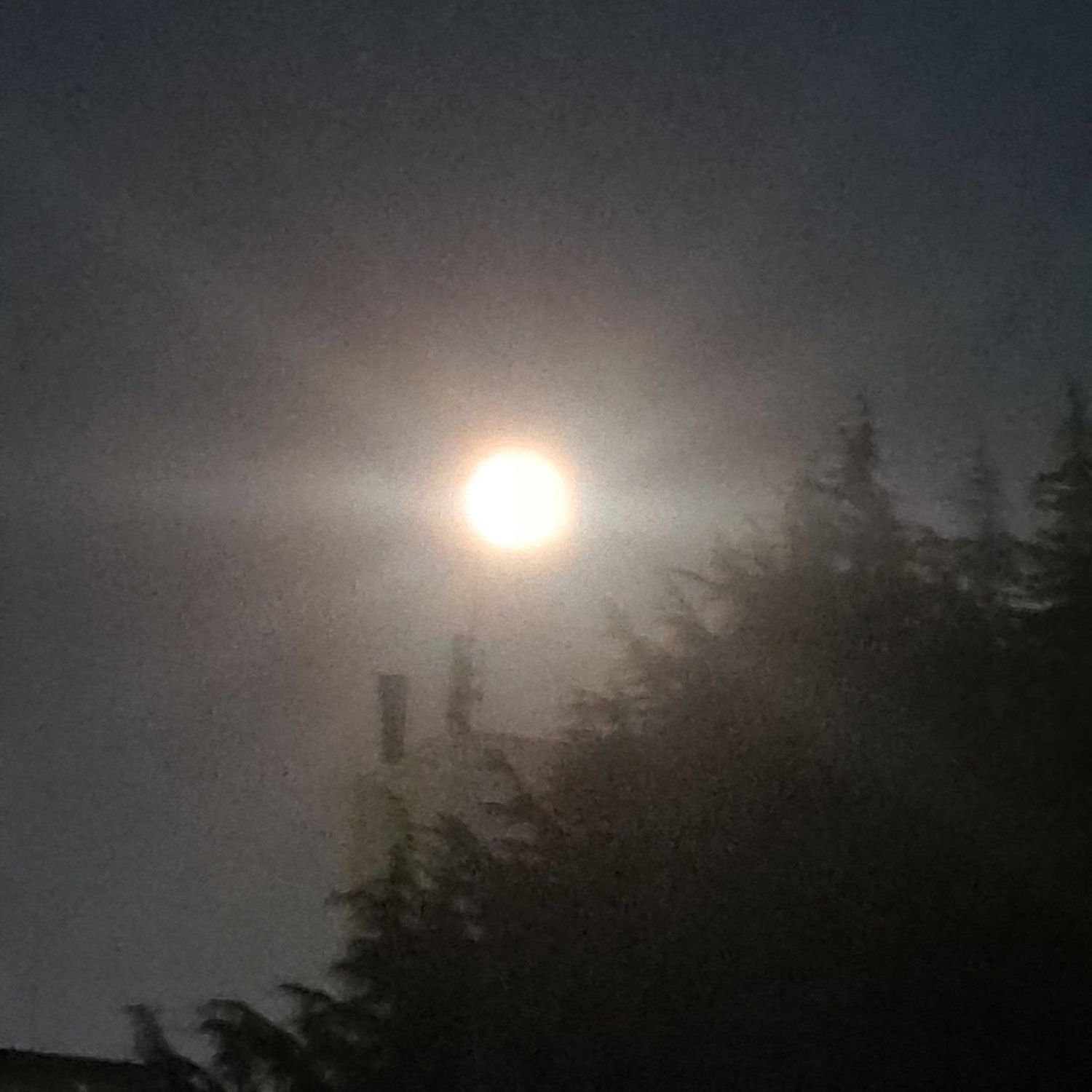 Cuplikan di balik layar dari Kim Hojoong