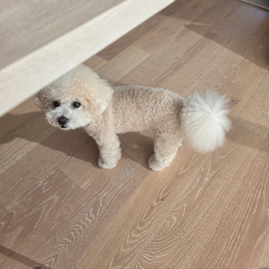 김선호 팬이 찍은 순간