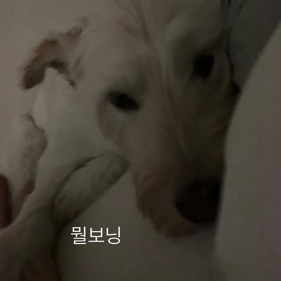 Recent activity shot of Kim Goeun