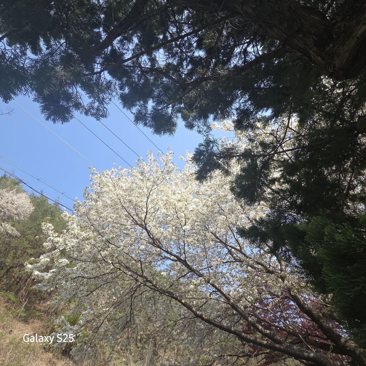 チャン・ミンホの最近の活動ショット