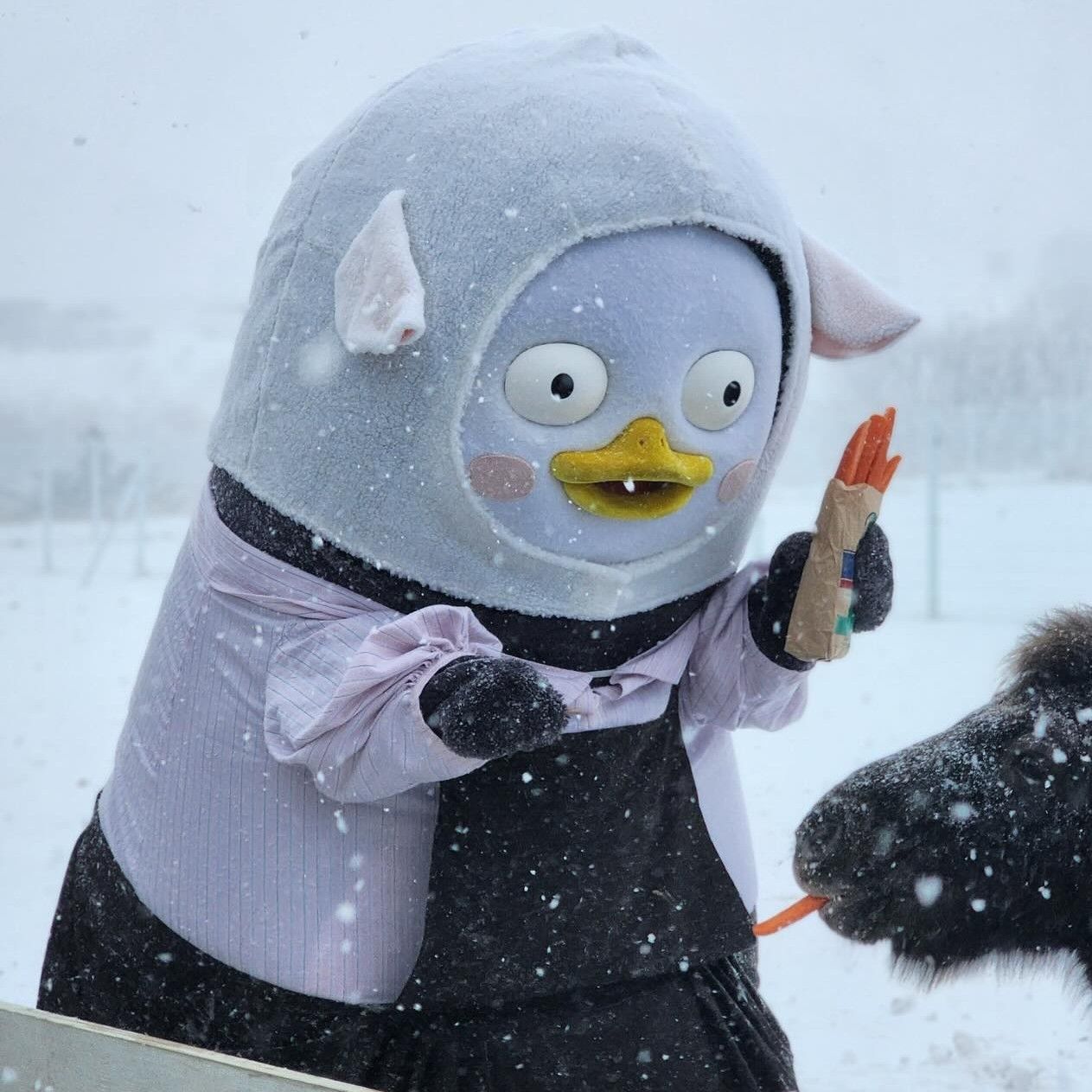 Momen yang diabadikan oleh penggemar Pengsoo