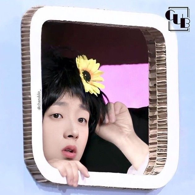 Momen yang diabadikan oleh penggemar Lee Chanwon