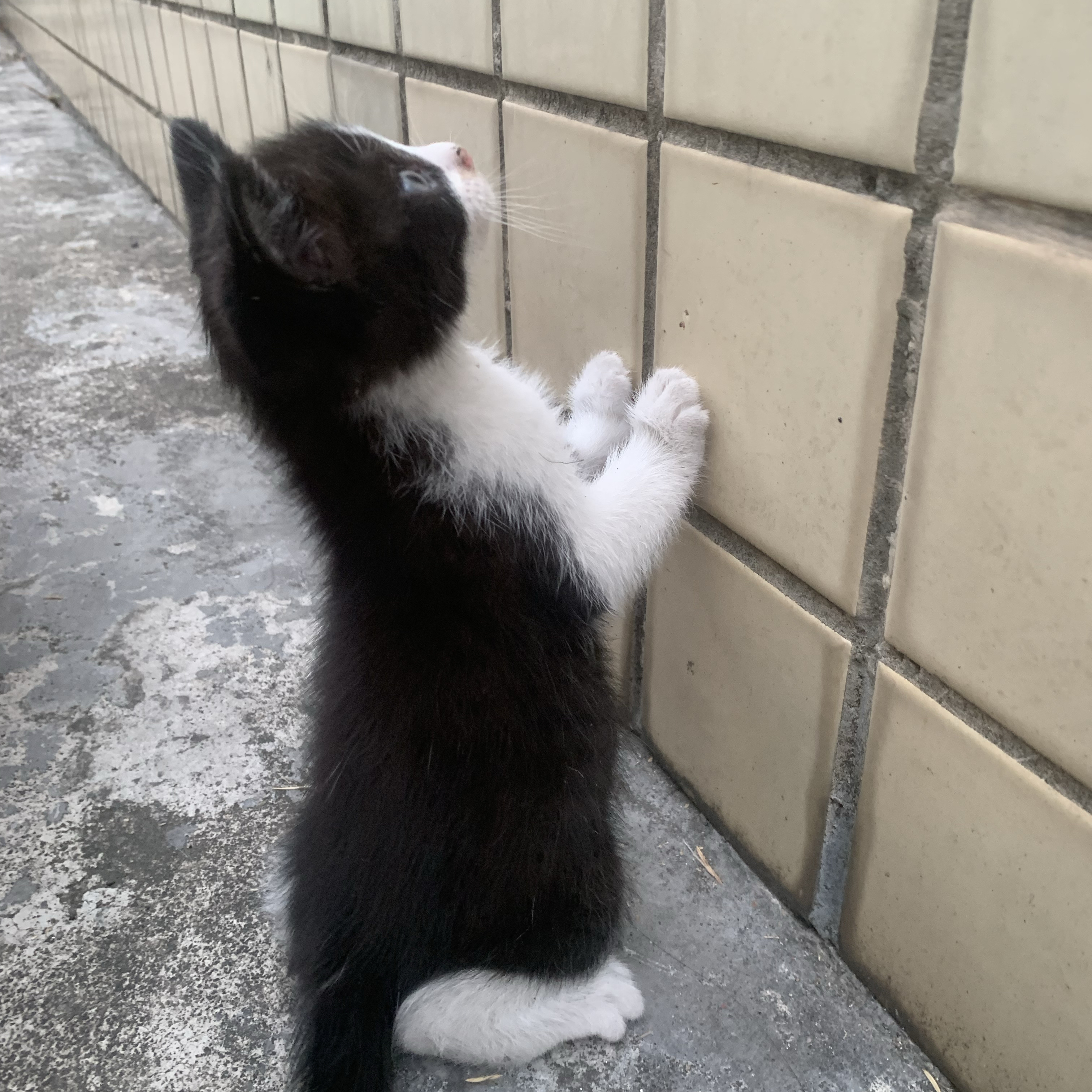 Foto kegiatan terbaru dari Doh Kyungsoo (D.O.)