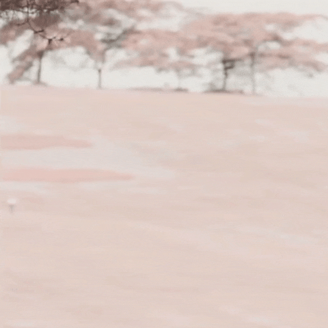 A moment captured by a fan of Jang Nara