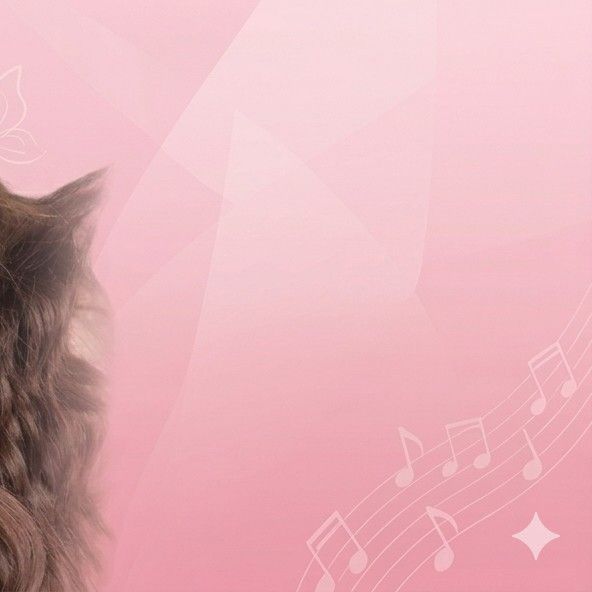 Recent activity shot of Yeonwoo