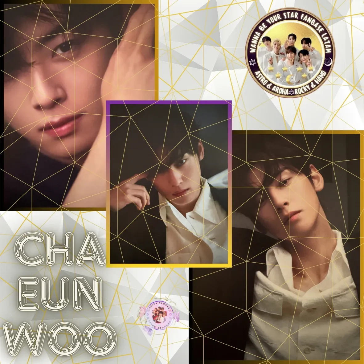 Recent activity shot of Cha Eunwoo